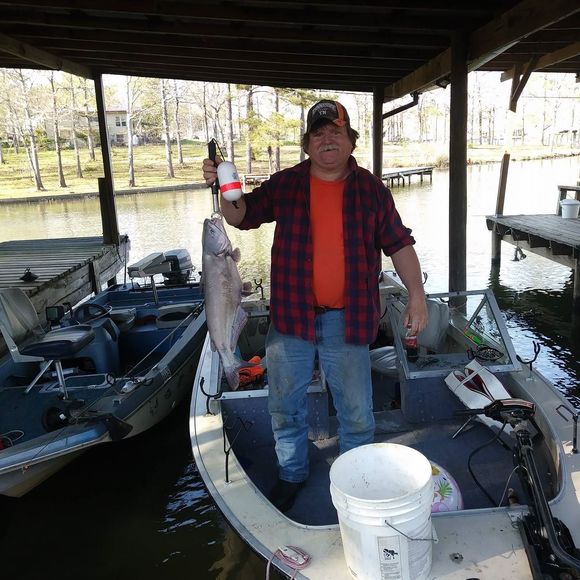 Meet your Posher, Barry - Picture 1 of 1